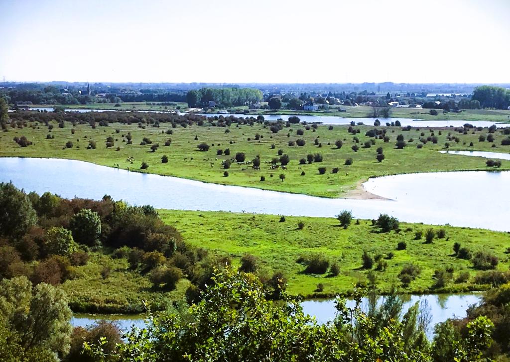 Foto van Nederrijn bij Blauwe Kamer